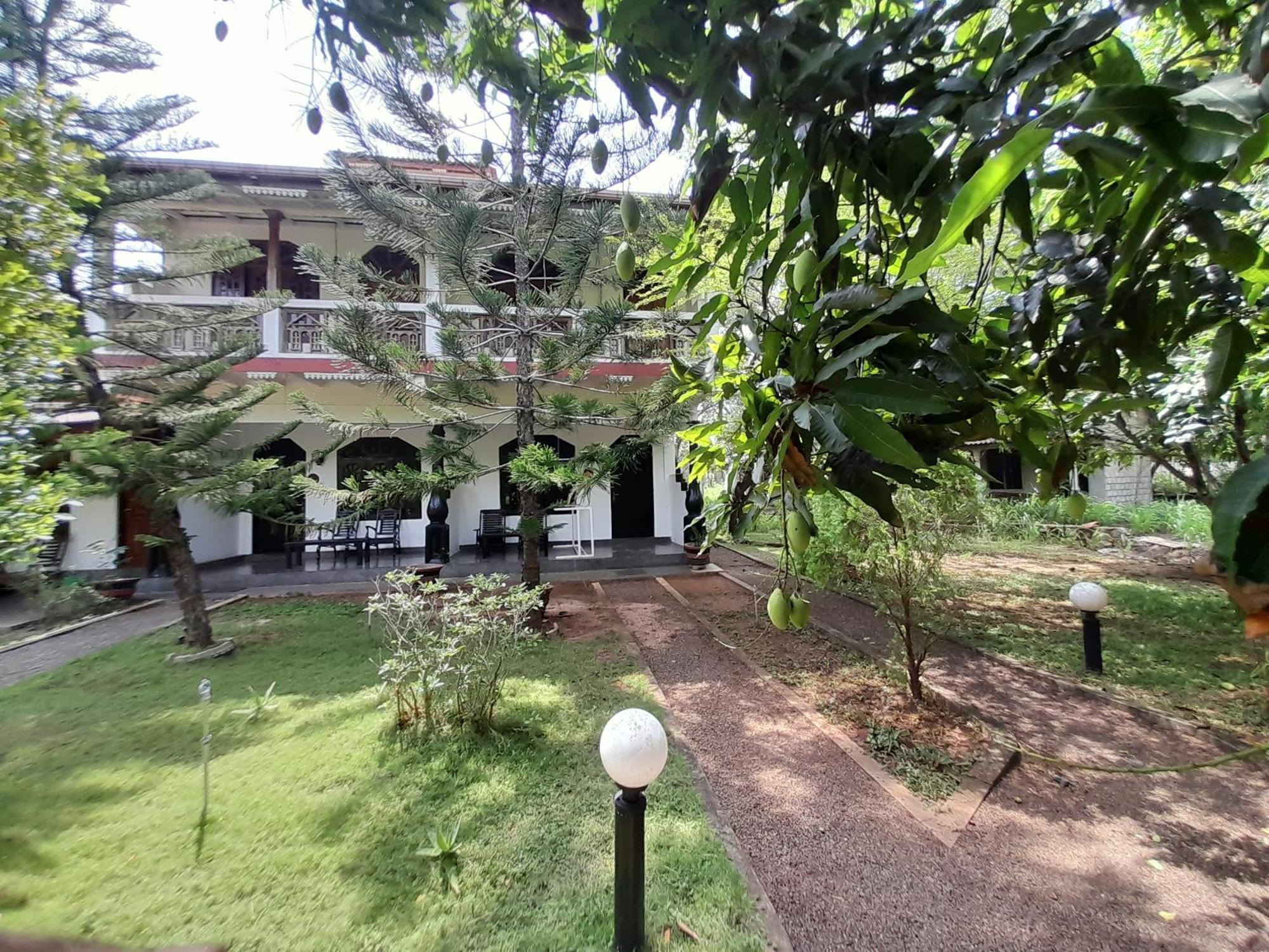 Hostel The Monkey Garden Sigiriya Exteriér fotografie